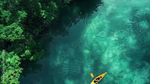 Kayak on tranquil river amidst lush trees