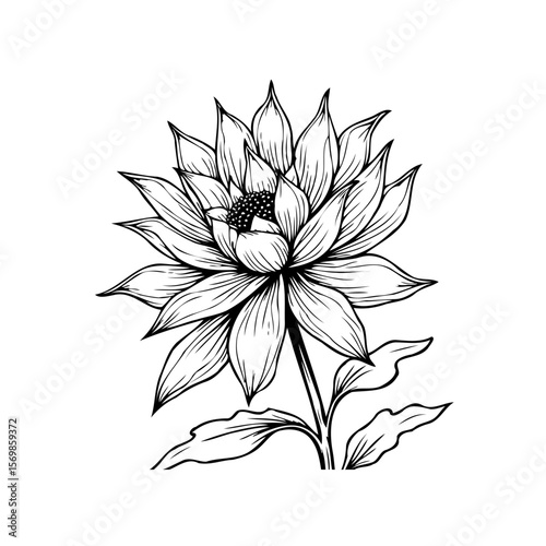 Detailed monochrome botanical illustration showcases the elegance of a single blooming flower against a pristine background delicate aesthetic