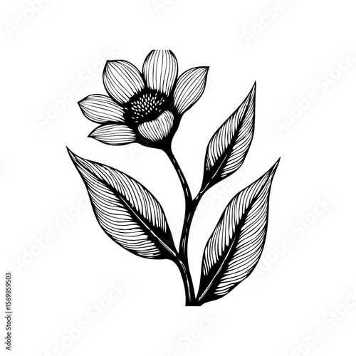 Elegant single daisy flower line art drawing showcasing botanical beauty with delicate leaves and artistic rendering, hand drawn feel