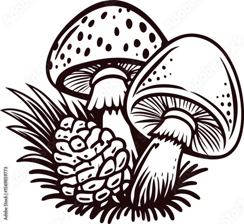 Hand drawn illustration of wild forest mushrooms and pine cone with grass in vintage engraved