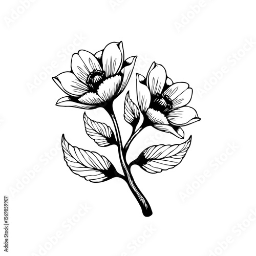 Elegant botanical illustration featuring delicate flowers and intricate leaves in a minimalist style creating timeless appeal with nature