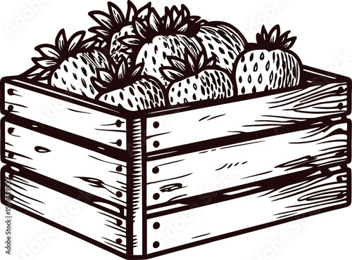 Rustic hand drawn wooden crate filled with ripe strawberries isolated on white background illustration