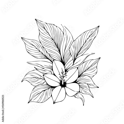 Detailed botanical drawing featuring a delicate flower surrounded by intricate leaf patterns showcases the elegance of nature