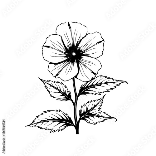 Elegant floral drawing with delicate petals and leaves showcasing botanical beauty in a minimalist design