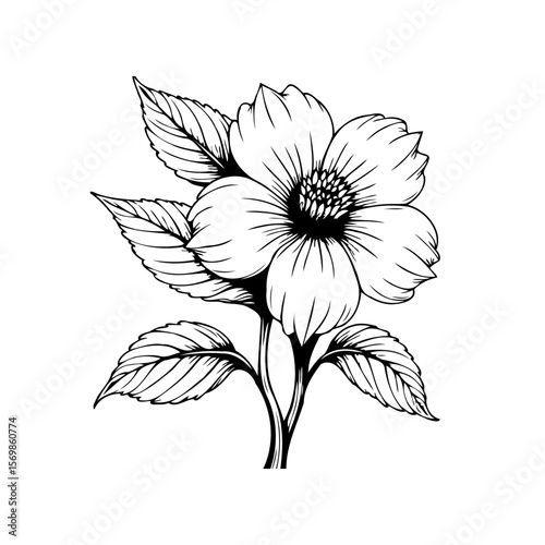 Elegant floral botanical illustration with delicate petals and leaves forming a captivating design artwork black