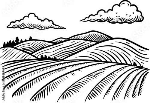 Engraved landscape of rolling farmland hills with plowed fields and distant tree line under cloudy sky illustration