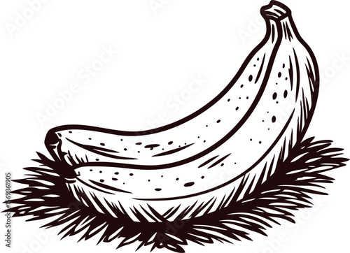 Hand drawn banana pair on straw vintage black and white sketch illustration
