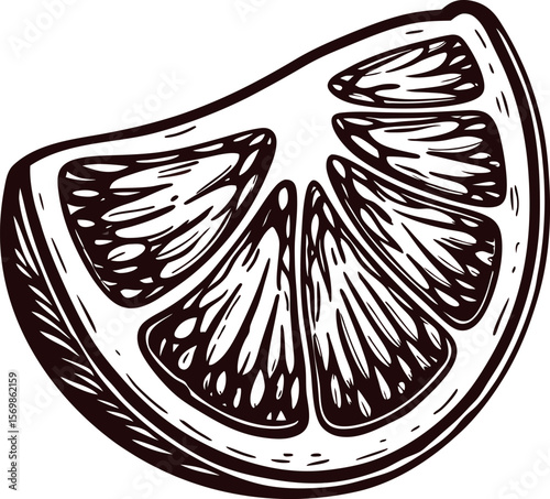Hand drawn citrus fruit wedge cross section isolated, vintage ink engraved illustration of juicy lemon or orange slice