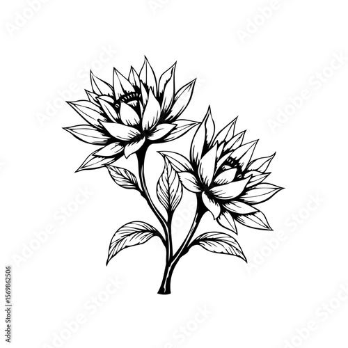 Elegant floral arrangement showcasing the timeless beauty of lotus flowers in a minimalist design with graceful lines
