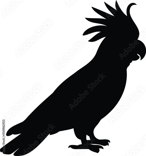 Exotic Parrot Silhouette with Feathered Crest Vector Illustration for Jungle, Wildlife, or Birdwatching Designs