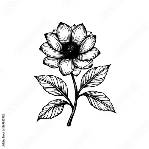 Elegant floral illustration showcasing delicate flower and leaf in intricate line art style, adding sophistication