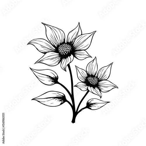 Elegant floral line art illustration featuring blooming flowers leaves and stems for decorative design projects