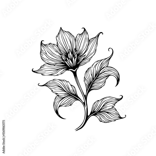 Elegant monochrome flower illustration with intricate line work showcasing botanical beauty and delicate floral design with graceful foliage