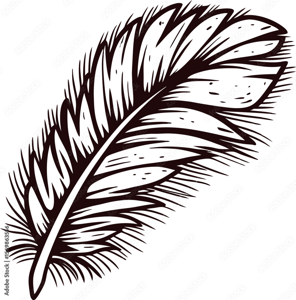 Fototapeta premium Hand drawn black and white bird feather illustration with detailed sketch lines and textured surface