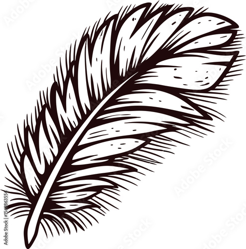 Hand drawn black and white bird feather illustration with detailed sketch lines and textured surface