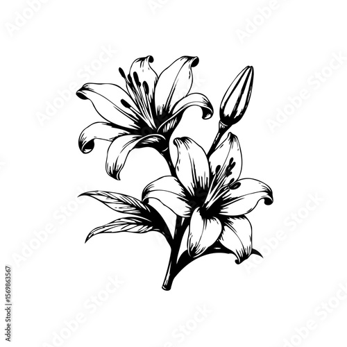 Elegant floral design featuring blooming lilies, showcasing intricate line work perfect for graphic arts and illustration projects