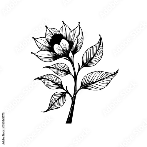 Elegant flower with intricate line details creates a stunning botanical drawing evoking natural beauty and artistry