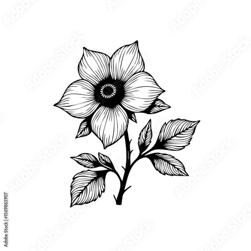 Detailed botanical illustration: exquisite monochrome floral drawing showcasing delicate petals and intricate leaf venation for timeless elegance, art, and nature