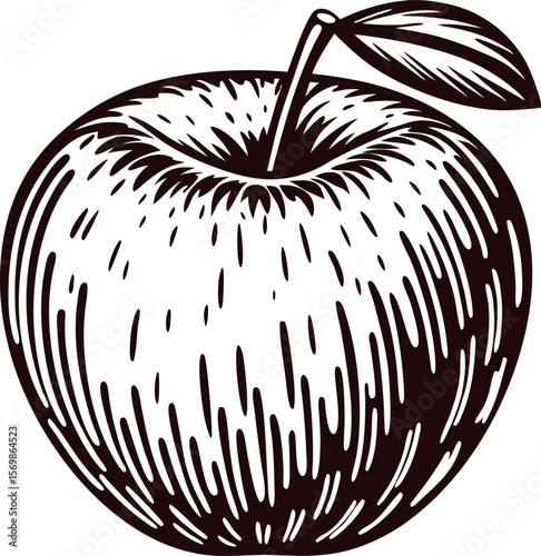 Hand drawn apple with leaf isolated on white background, vintage engraved fruit illustration