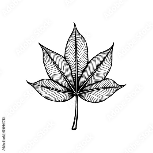 Elegant simplicity single maple leaf illustration showcasing intricate details and organic beauty in minimalist design