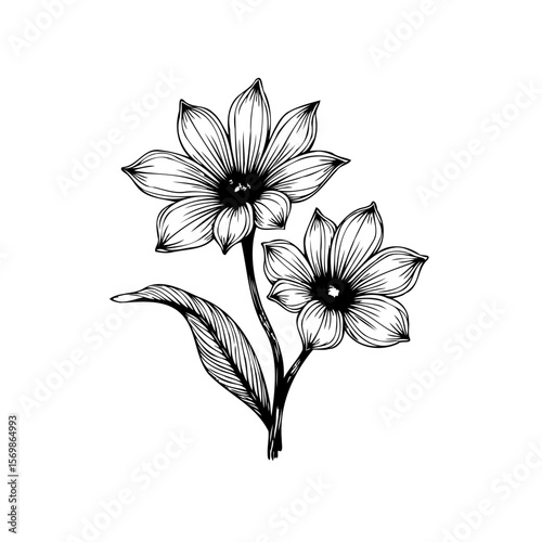 Elegant floral illustration featuring delicate blooms and graceful lines showcasing botanical artistry in a minimalist style