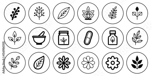Various herbal medicine icons are displayed isolated on white background