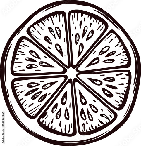 Hand drawn citrus fruit slice in vintage black and white engraving illustration