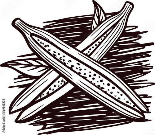 Hand drawn okra pods with seeds and leaves vintage engraved vegetable illustration