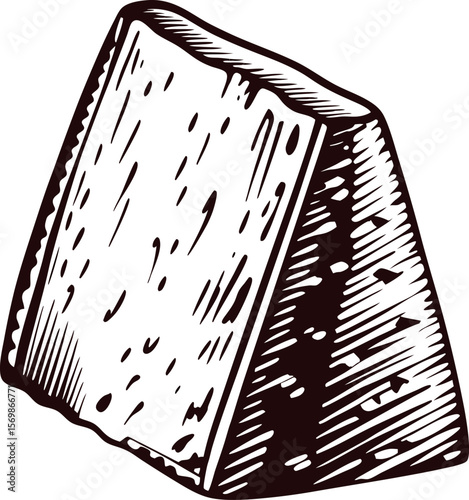 Hand drawn wedge of hard cheese in vintage engraved sketch on white background