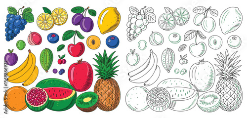 Collection of colorful and outline fruits including grapes lemons plums cherries and pineapple