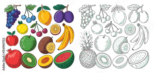 Collection of colorful and sketched fruits including apples bananas cherries grapes and pineapple