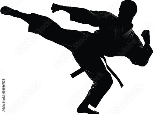 Dynamic silhouette of a karate practitioner performing a kick, useful for martial arts promotions, tournament posters, or action-oriented graphic designs.