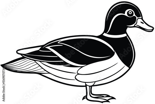 Striking Black and White Illustration of a Detailed Mallard Duck in Profile View