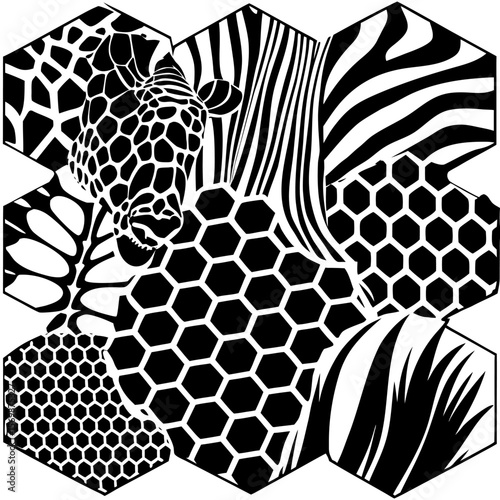 Zebra Stripes and Leopard Print Animal Skin Pattern Illustration Design