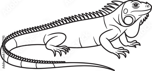 Black and white illustration of a lizard with a spiky crest reptile animal