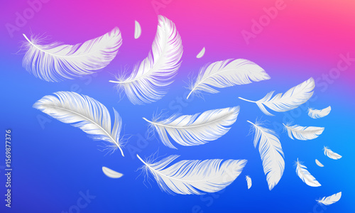 Feather collection. Flying fluffy goose vector realistic pictures, on pink-blue gradient background