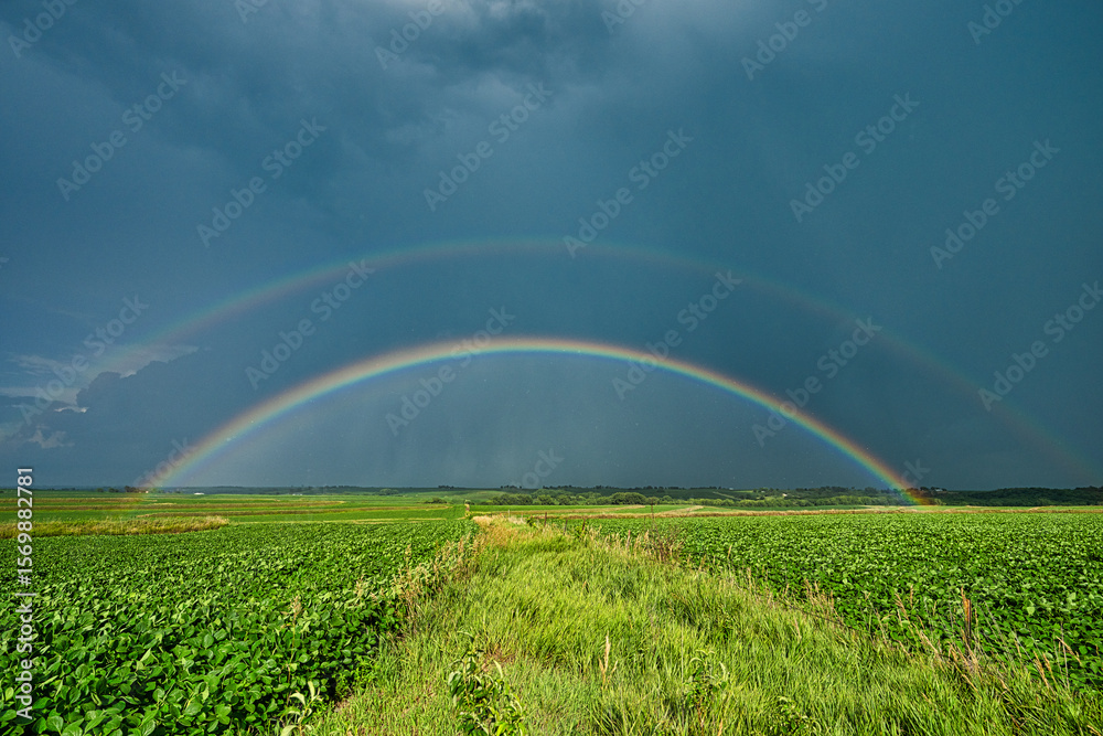 Naklejka premium Double rainbow