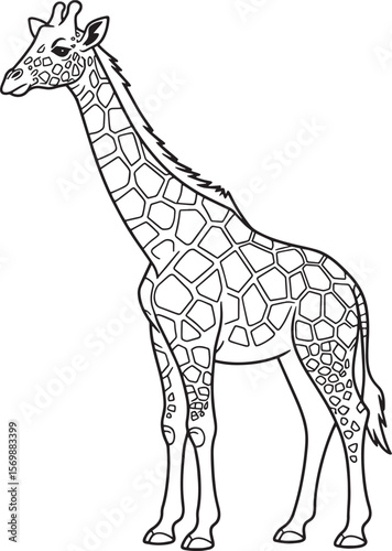 Giraffe standing tall with patterned coat animal mammal