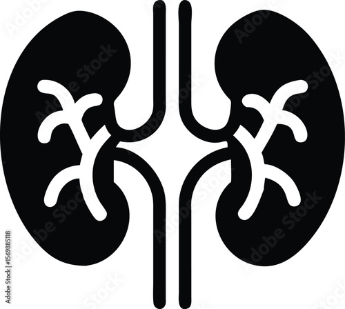 Human kidney icon