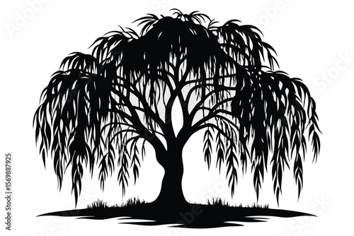 Weeping Willow Tree Silhouette with Drooping Branches and Grass Detail Illustration
