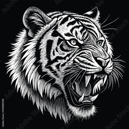 White tiger head vector illustration showing wild feline predator with striped fur and powerful face