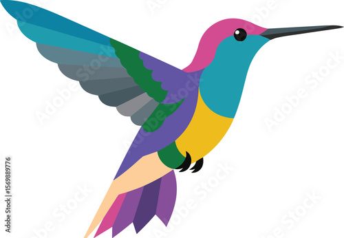 Hummingbird vector,hummingbird, parrot. Vector illustration in flat design. Fauna of South America. Flying colorful bird for icons 