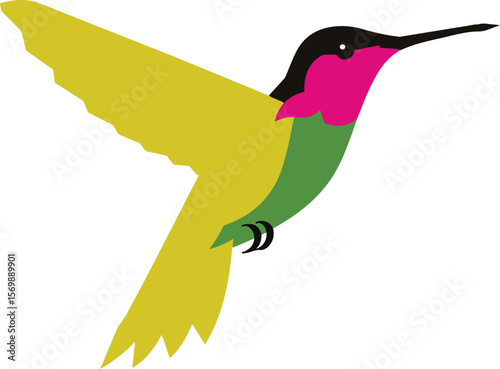 Hummingbird vector,hummingbird, parrot. Vector illustration in flat design. Fauna of South America. Flying colorful bird for icons 