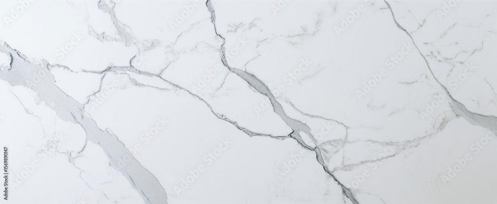 Fototapeta premium The elegant marble surface with intricate gray veining for interior design use.