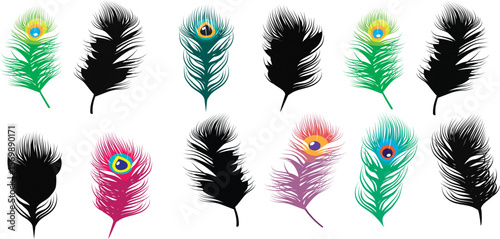 pakhi vectors similar