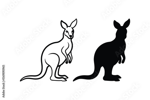 Kangaroo Line Art and Silhouette Illustration