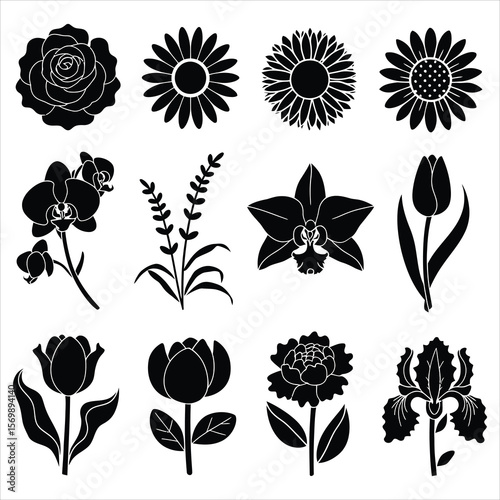 Black floral silhouettes collection rose daisy
