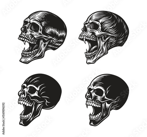 Human Skull in Side View with Mouth Open in a Laugh or Scream Silhouette Style Illustration Design