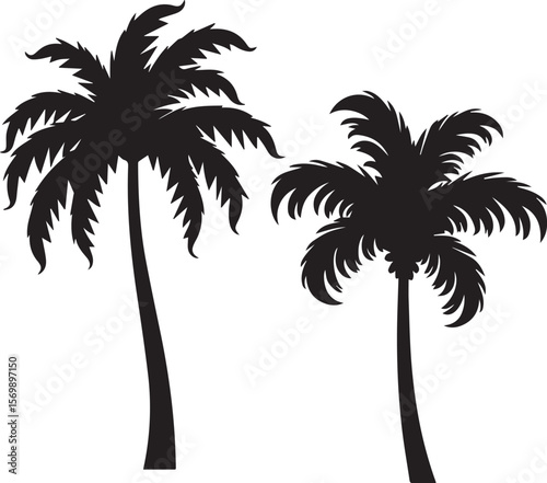 palm tree silhouette vector