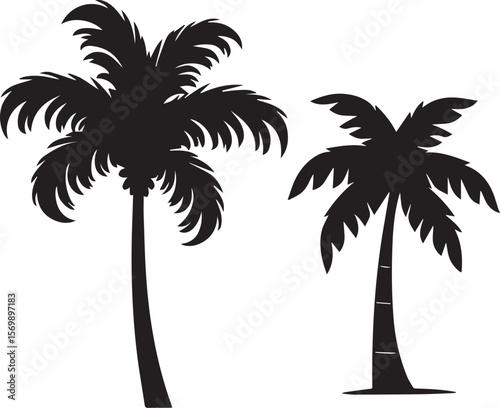 palm tree silhouette vector